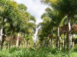 Hoea Rd LOT 120, Hawi, HI 96719