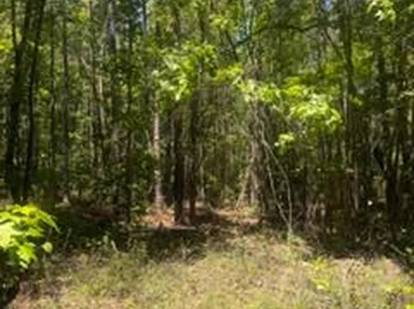 12 / Indian Lake Is, Clayton, AL 36016