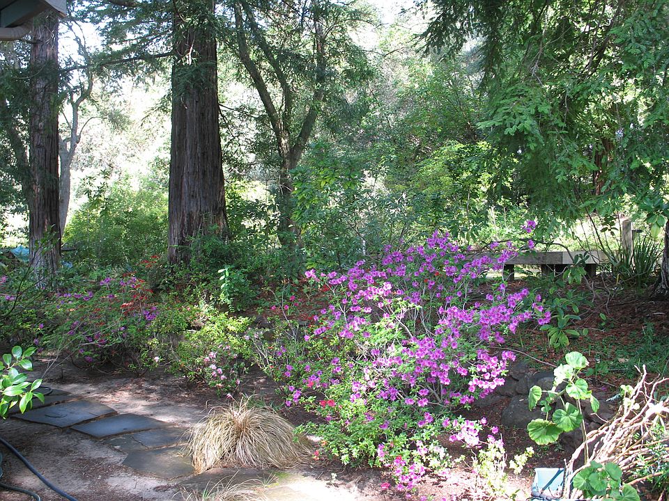2nd image of 843 Charles Hill Rd