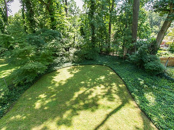 Overview of the Spectacular Backyard