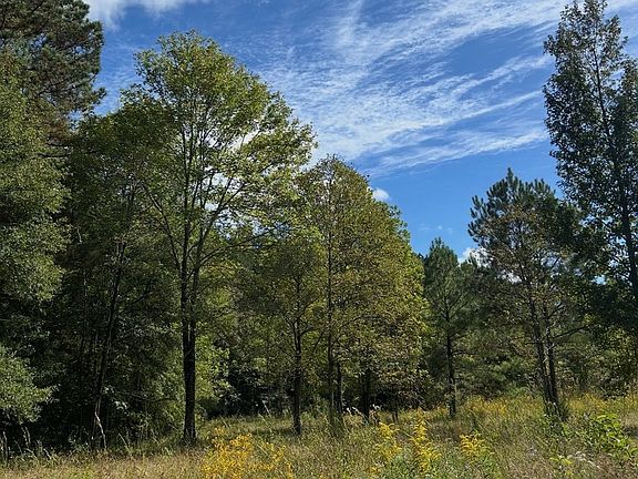 4th image of 0 State Highway 1545