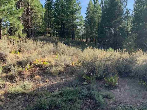 1249 Great Spirit, Portola, CA 96106