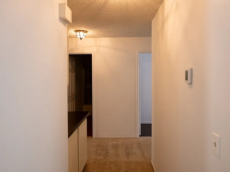 4433 Live Oak Dr — Photo 17