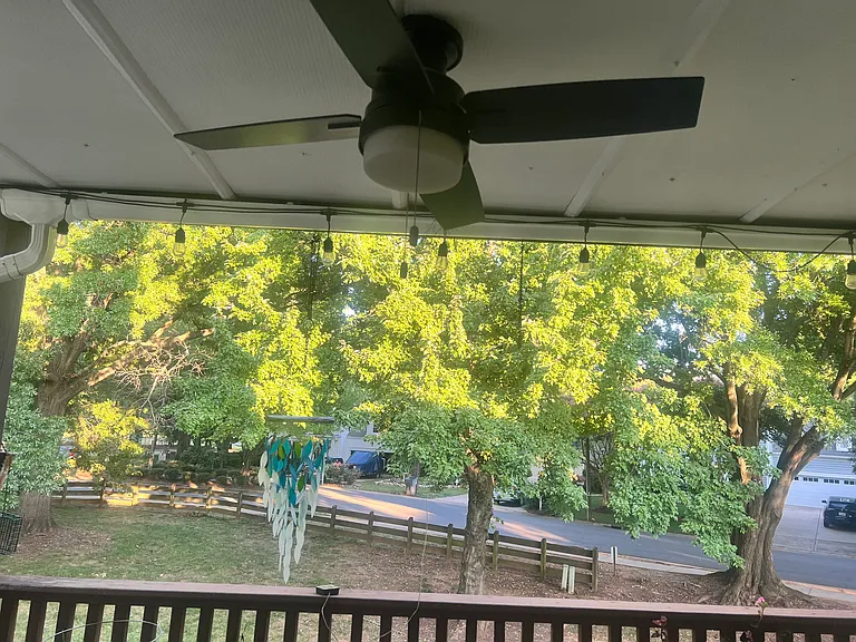 Fan with a light
