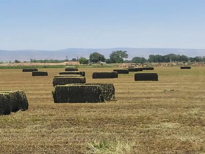 18889 Homestead Rd, Delta, CO, 81416