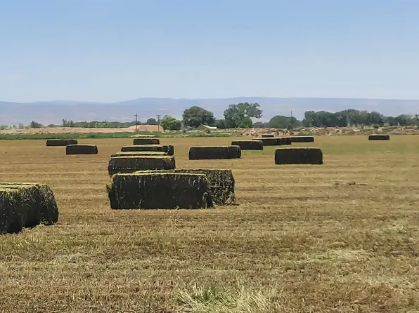 18889 Homestead Rd, Delta, CO 81416