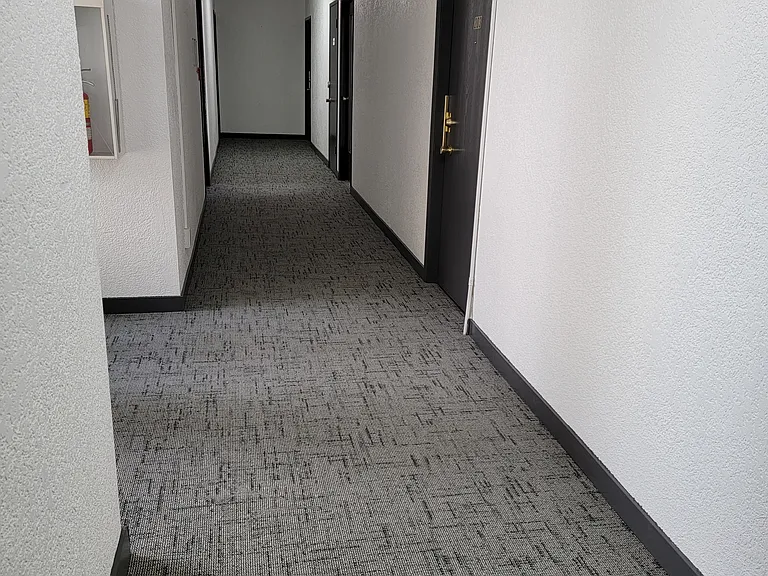 215 Carnarvon St #204 — Photo 5