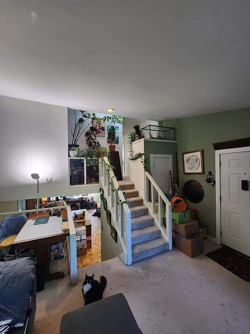 207 Purefoy Road — Photo 2
