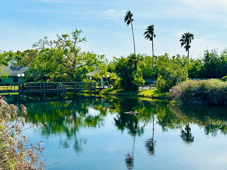 Pond with turtles, ducks and other exotic birds.
