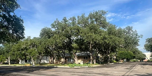 3 bed, 1582 sqft, $2,700 — Photo 1