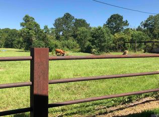 38235 N Walker North Rd, Walker, LA 70785