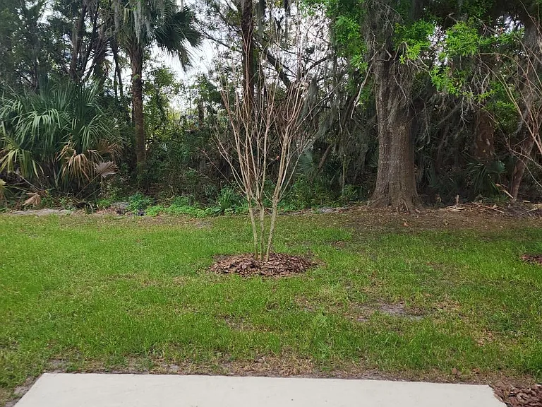 2385 Carrabelle Way — Photo 16
