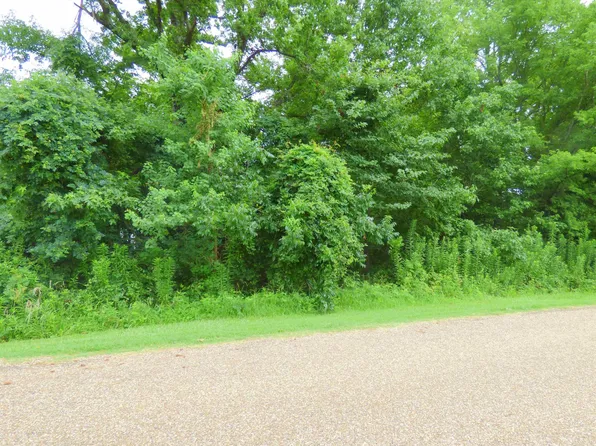3 County Road 1520, Mount Pleasant, TX 75455