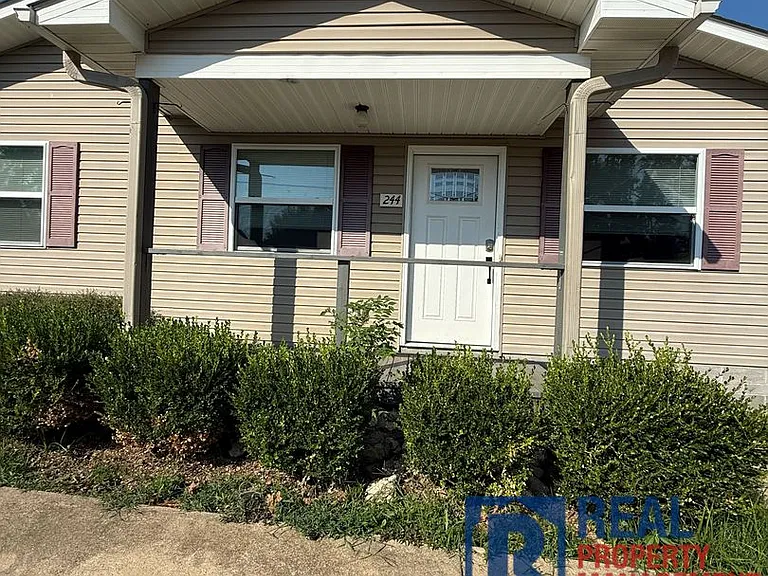 244 Palmetto St — Photo 3