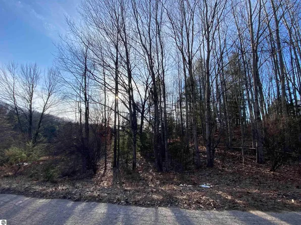 LOT 30 Scenic Hills Dr, Williamsburg, MI 49690