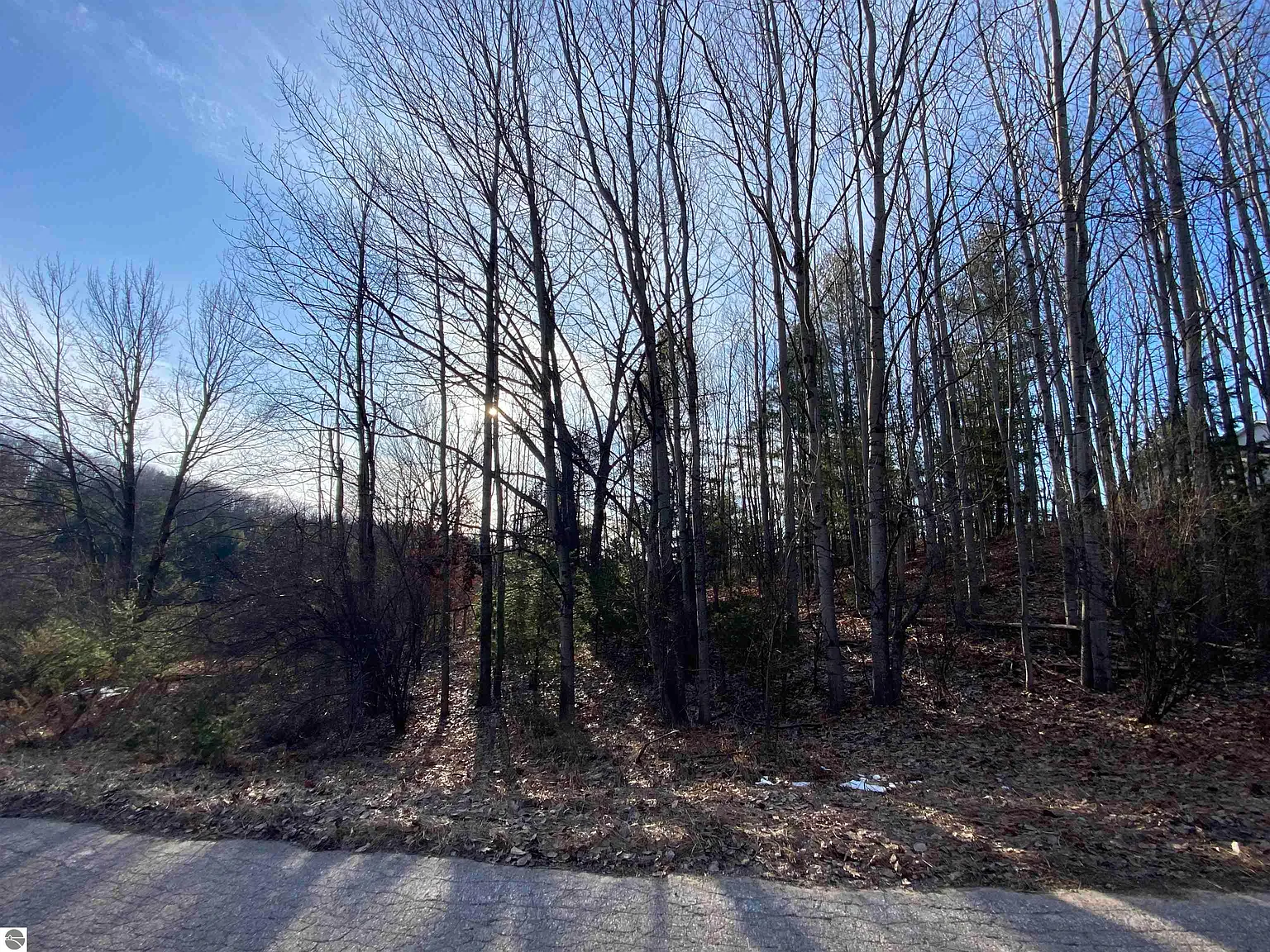 LOT 30 Scenic Hills Dr photo 1