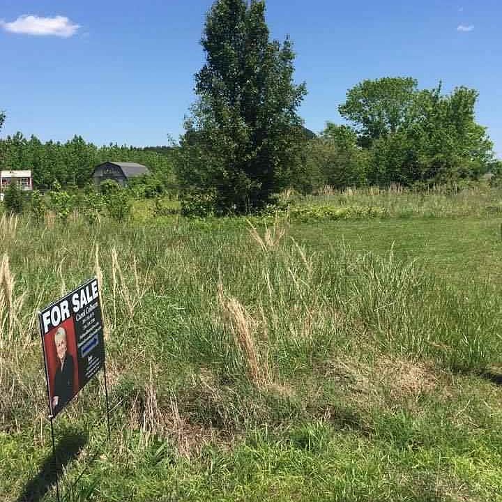 2nd image of 425 Golightly Spring Rd