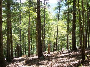 22 Thunder Rd, Hayesville, NC 28904