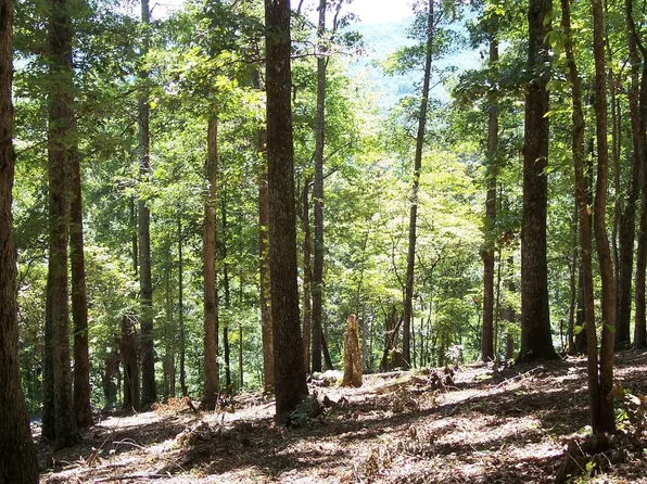 22 Thunder Rd, Hayesville, NC 28904