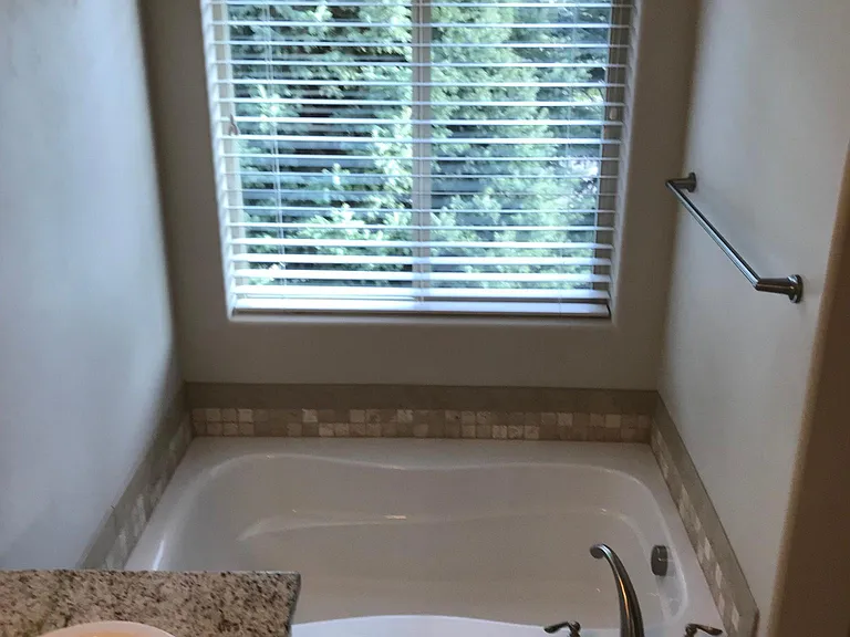 Master Tub with Scenic View
