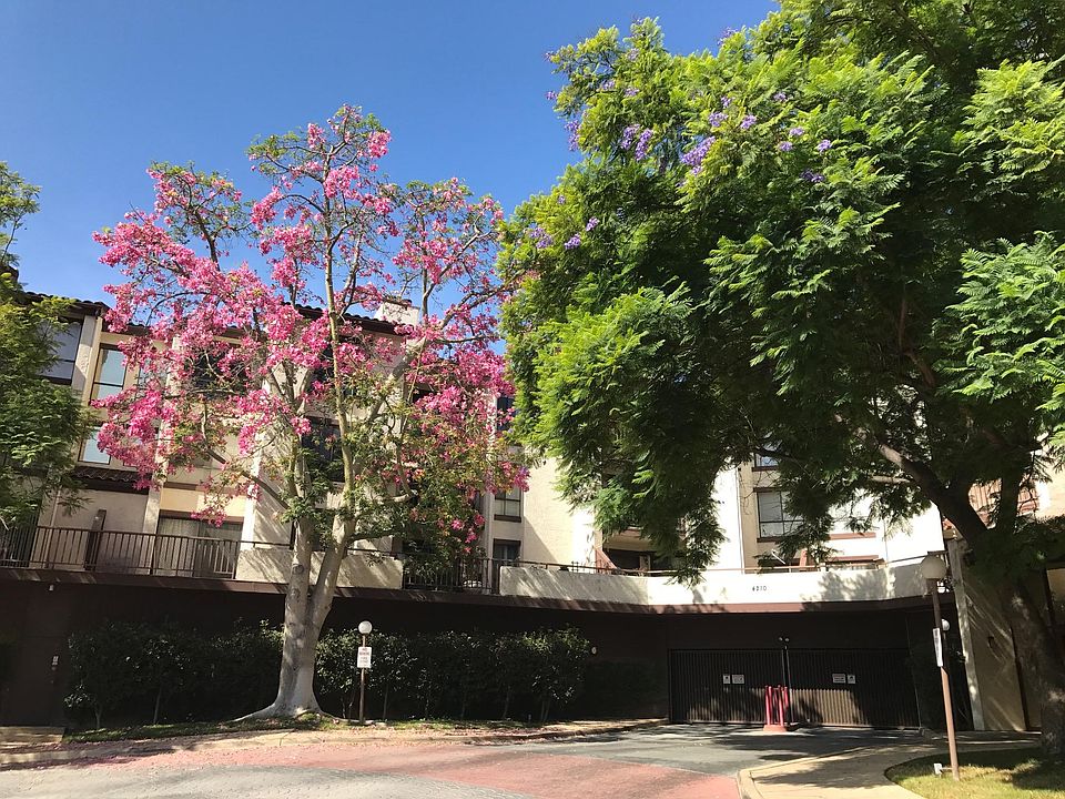 1st image of 4210 Via Arbolada Unit 114