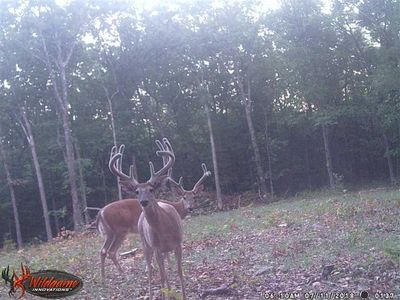 17920 County Road 519, Vichy, MO, 65580