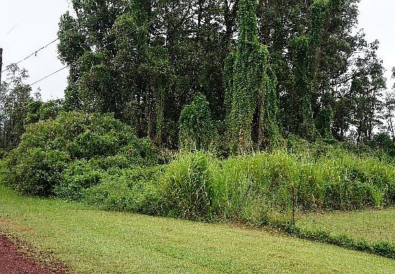 2nd image of 16-2081 Azure Dr Lot 31