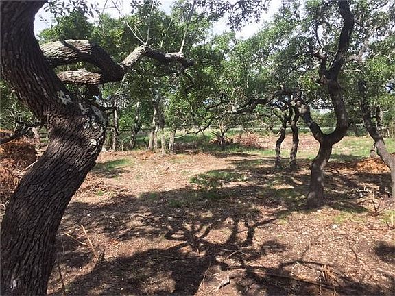 Middle of lot, looking toward street