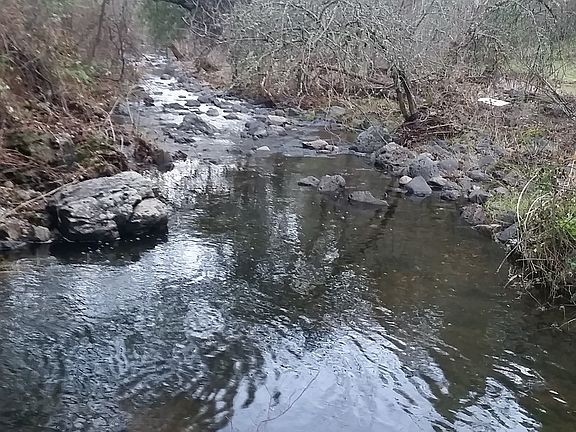 4th image of 6400 Lazy Brook Trail