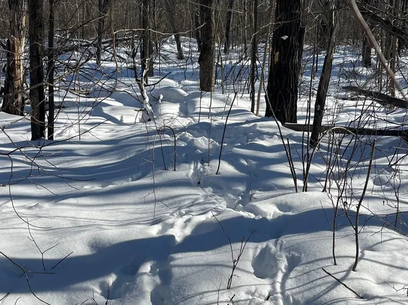 Reppert Rd, Exeland, WI 54835