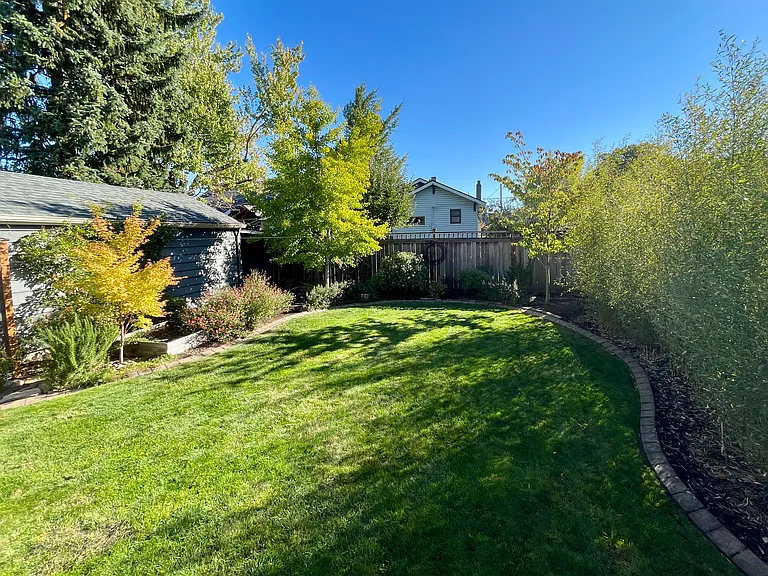Back yard