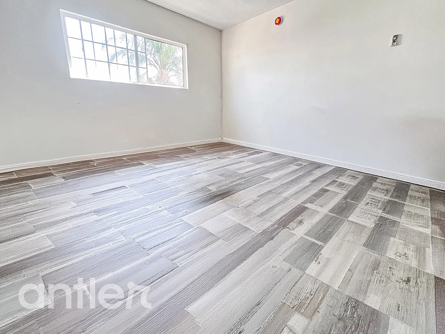 Studio, 350 sqft, $1,500 — Photo 1