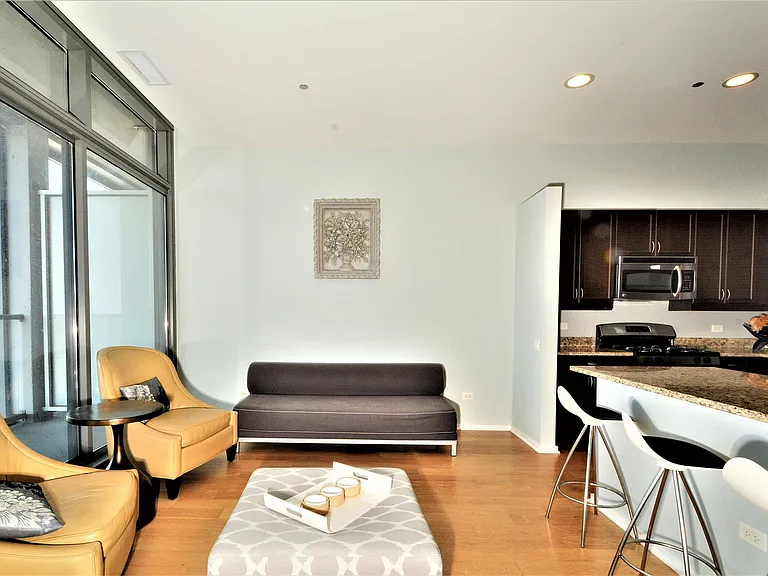 65 E Monroe St #4503 — Photo 6