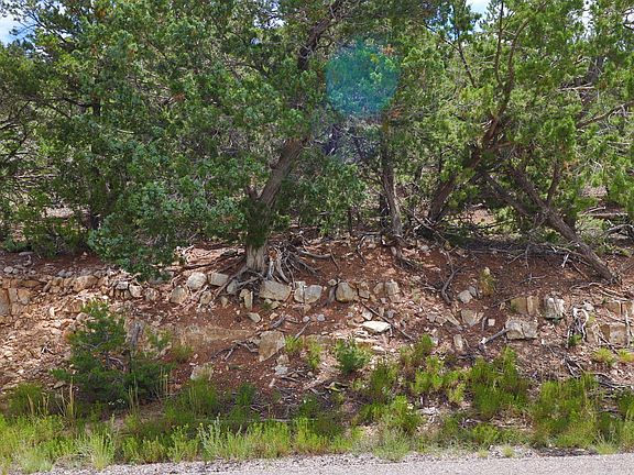 2nd image of 51 Vista Bonita Dr