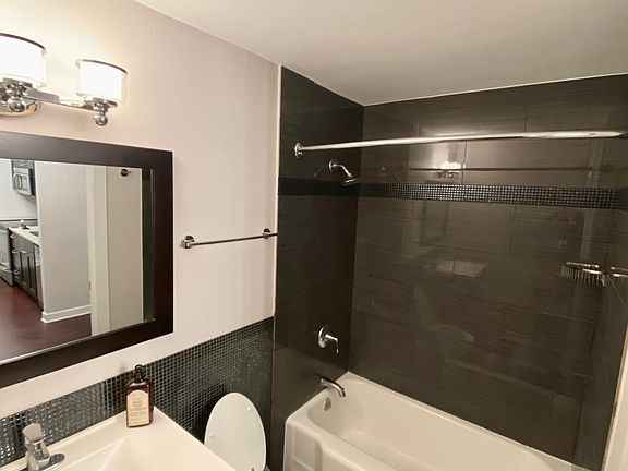 3rd image of 535 N Michigan Ave APT 306