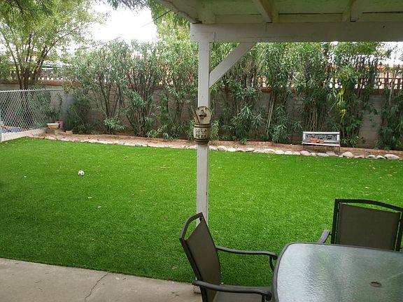 Back Yard Turf