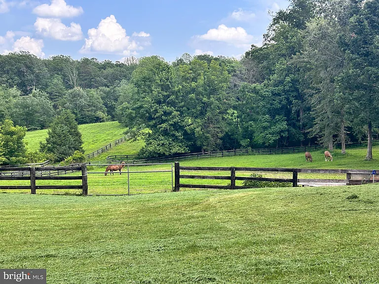 409 Cook Mountain Dr — Photo 13