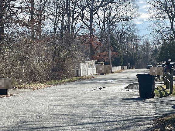 4th image of 409 Bauers Dr