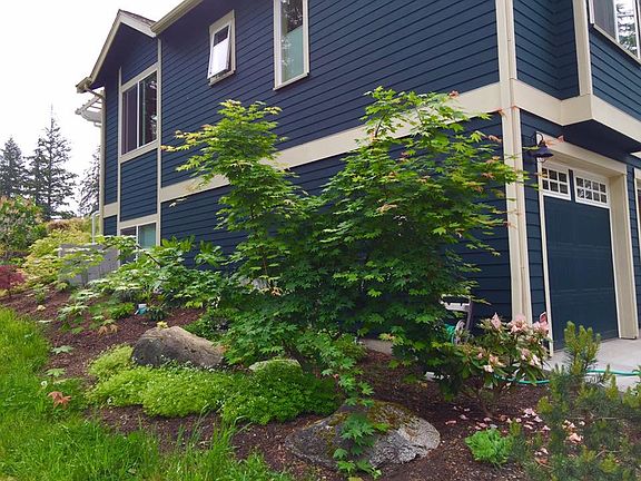 The house next to lot