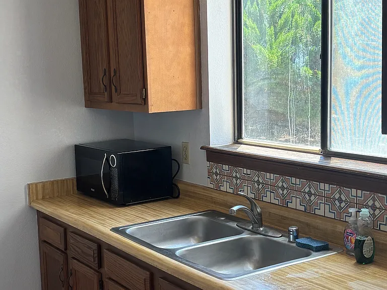 kitchen with microwave and lots of counter and cabinet space facing front patio