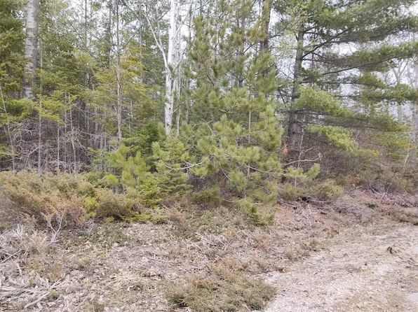 LOT 220 Pineview Dr, Presque Isle, MI 49777