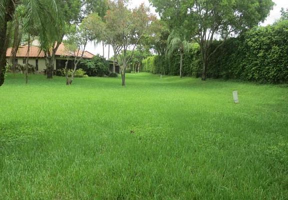 Home For Sale In Palm Chase Lakes