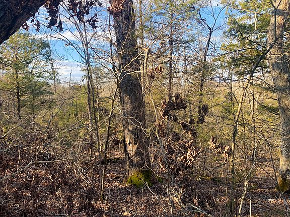 3rd image of 000 Jackson Hollow Road