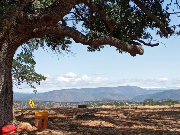 9913 Banderilla Dr, La Grange, CA 95329