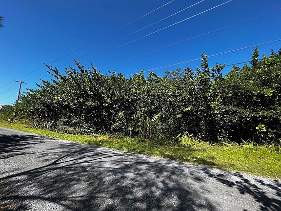 2nd image of 2nd Avenue Aloe Lot 1490