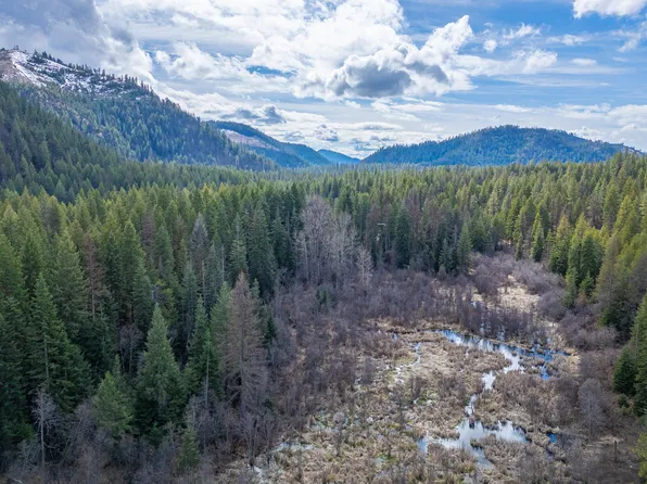 41?? Grouse Creek Rd, Loon Lake, WA 99148