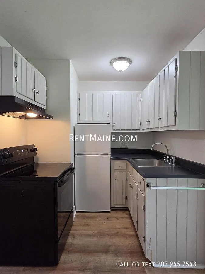 1 bed, 425 sqft, $1,000 — Photo 4