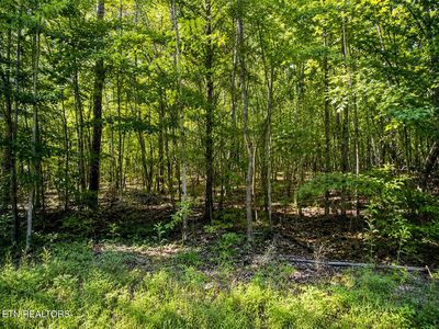 LOT 5 Keylon Hollow Rd, Ten Mile, TN, 37880