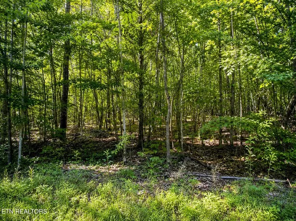 LOT 5 Keylon Hollow Rd, Ten Mile, TN 37880