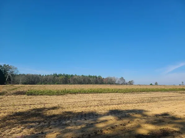 429 Summer Rd, Slocomb, AL 36375